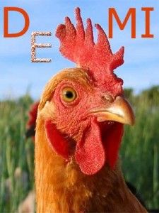 Chicken 1 copy/Demetra Koumarianou