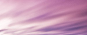 crop 2