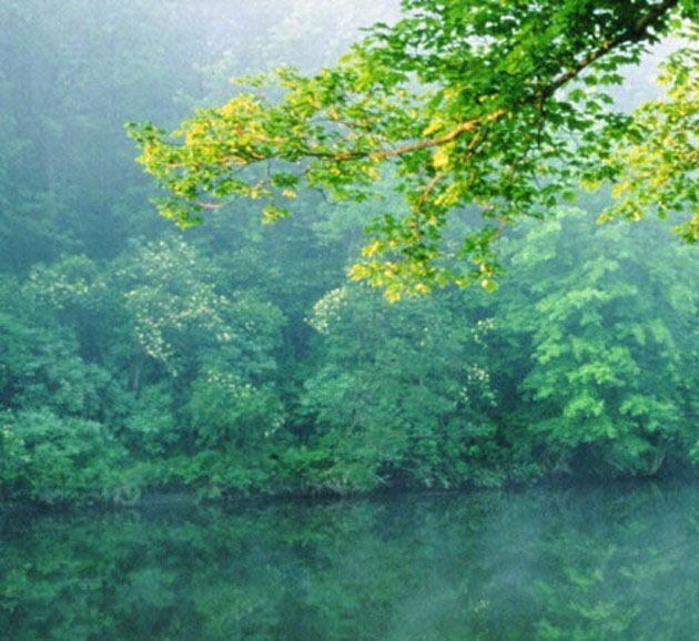Nature_3